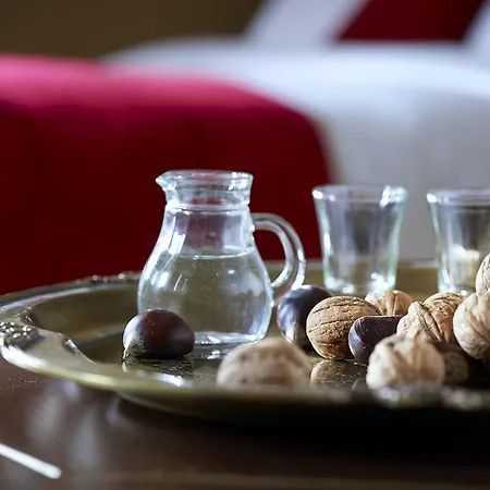 فندق Stevalia & Katochori