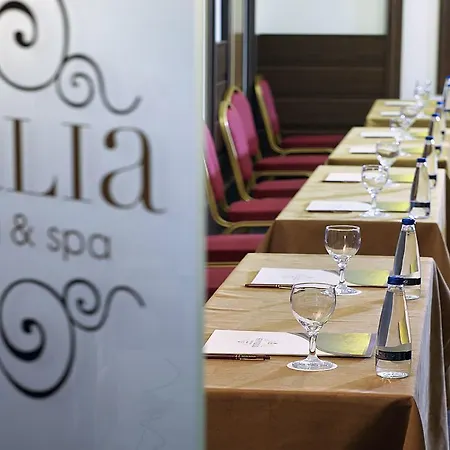 Hotel Stevalia &